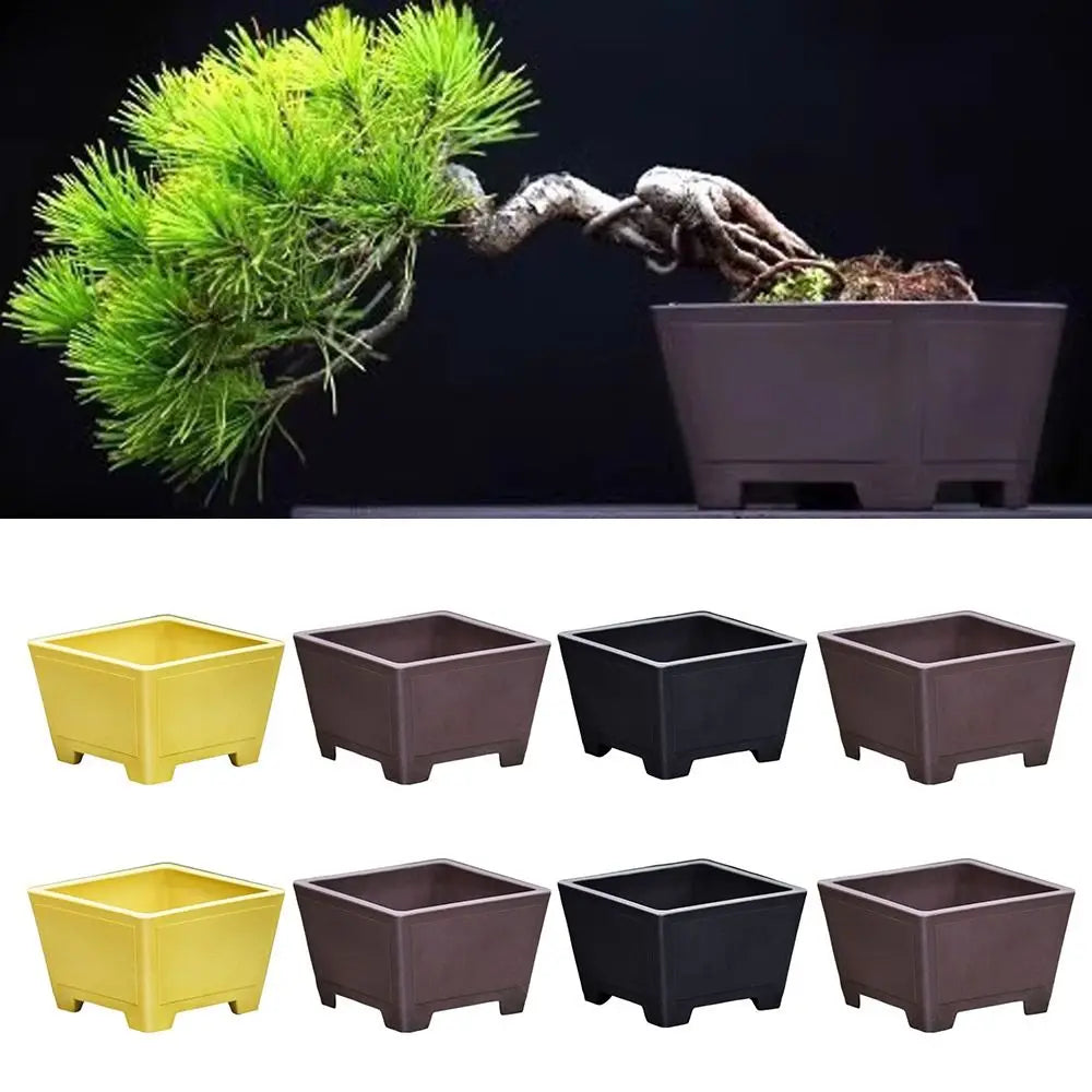 Imitation Purple Clay Flower Pot – DIY Succulent Planter