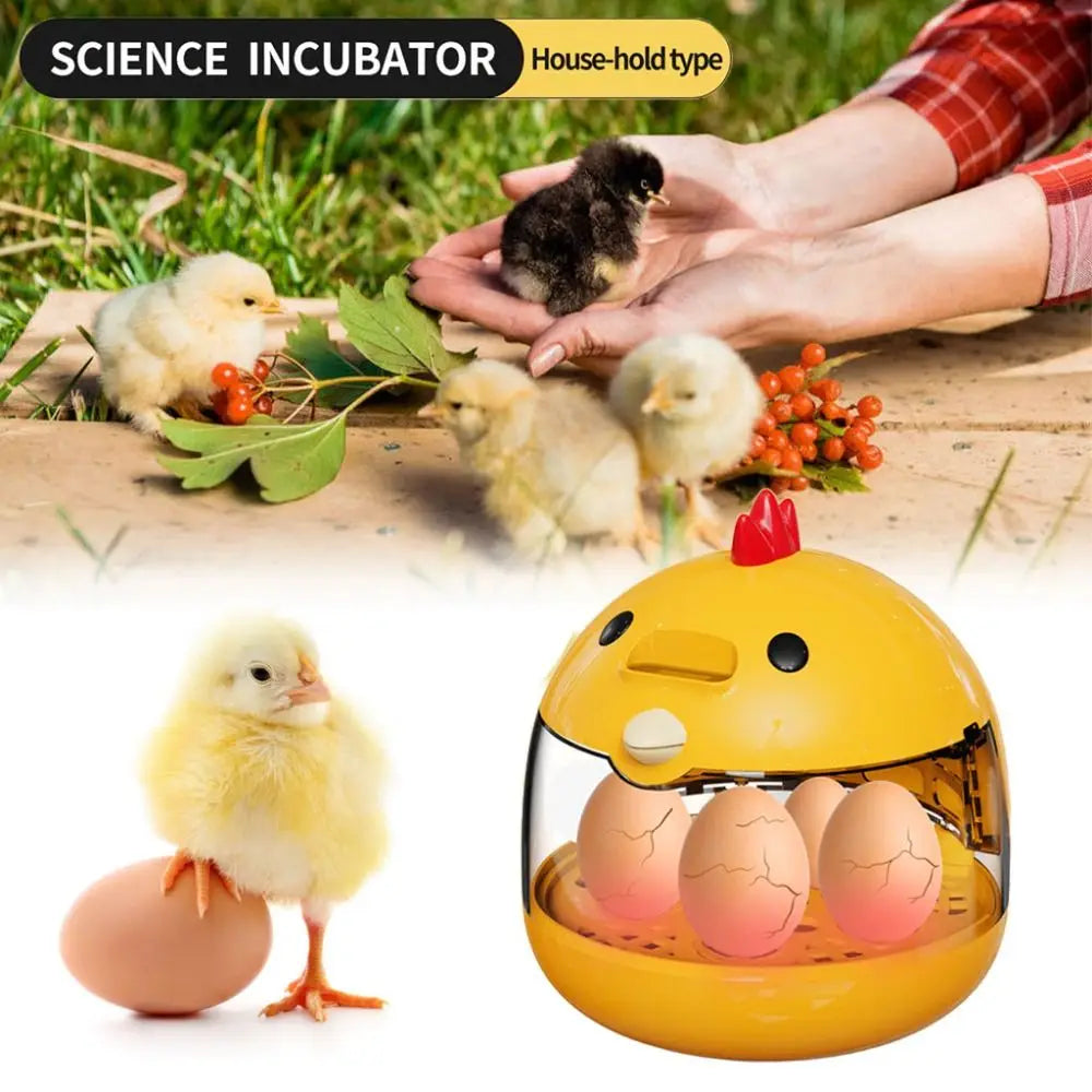 Mini Automatic Egg Incubator – Smart Temp & Humidity Control