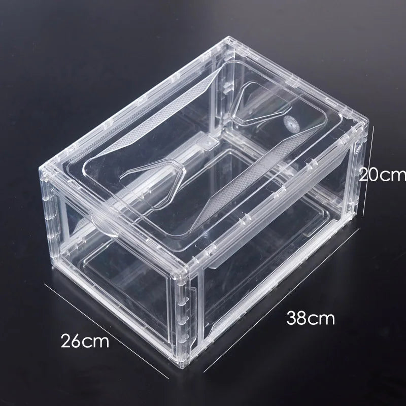 Transparent Flip-Top Sneaker Display Box – Stackable Shoe Organizer