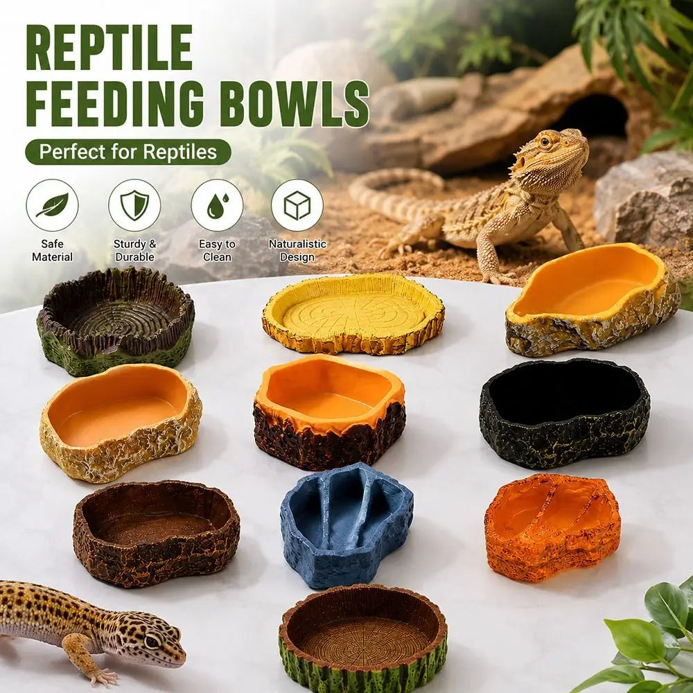 Reptile Feeding Bowl – Tree Stump Faux Stone Terrarium Basin