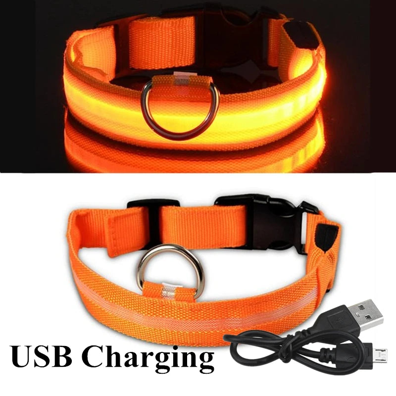 USB Rechargeable LED Dog Collar – Flashing Night Safety Glow