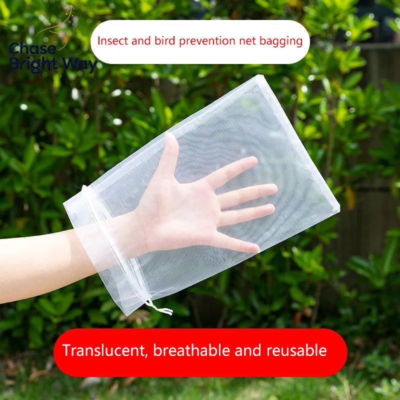 50-Pack Fruit Protection Mesh Bags – Bird & Pest Guard