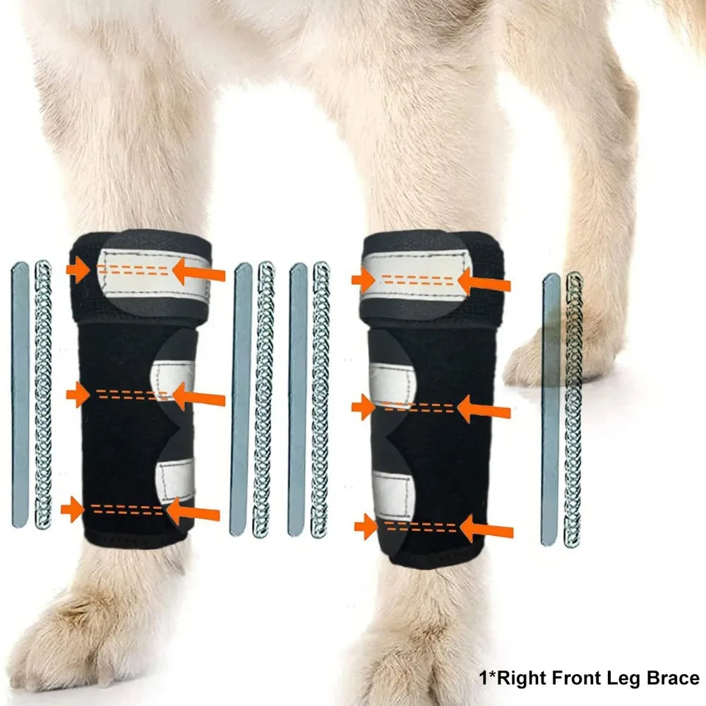 Dog Front Leg Brace – PC Strips, Adjustable & Reflective