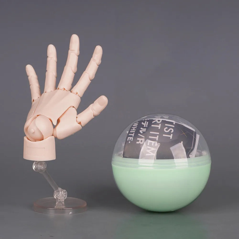1:2 Scale Articulated Hand Model – Posable Fingers Art Figure