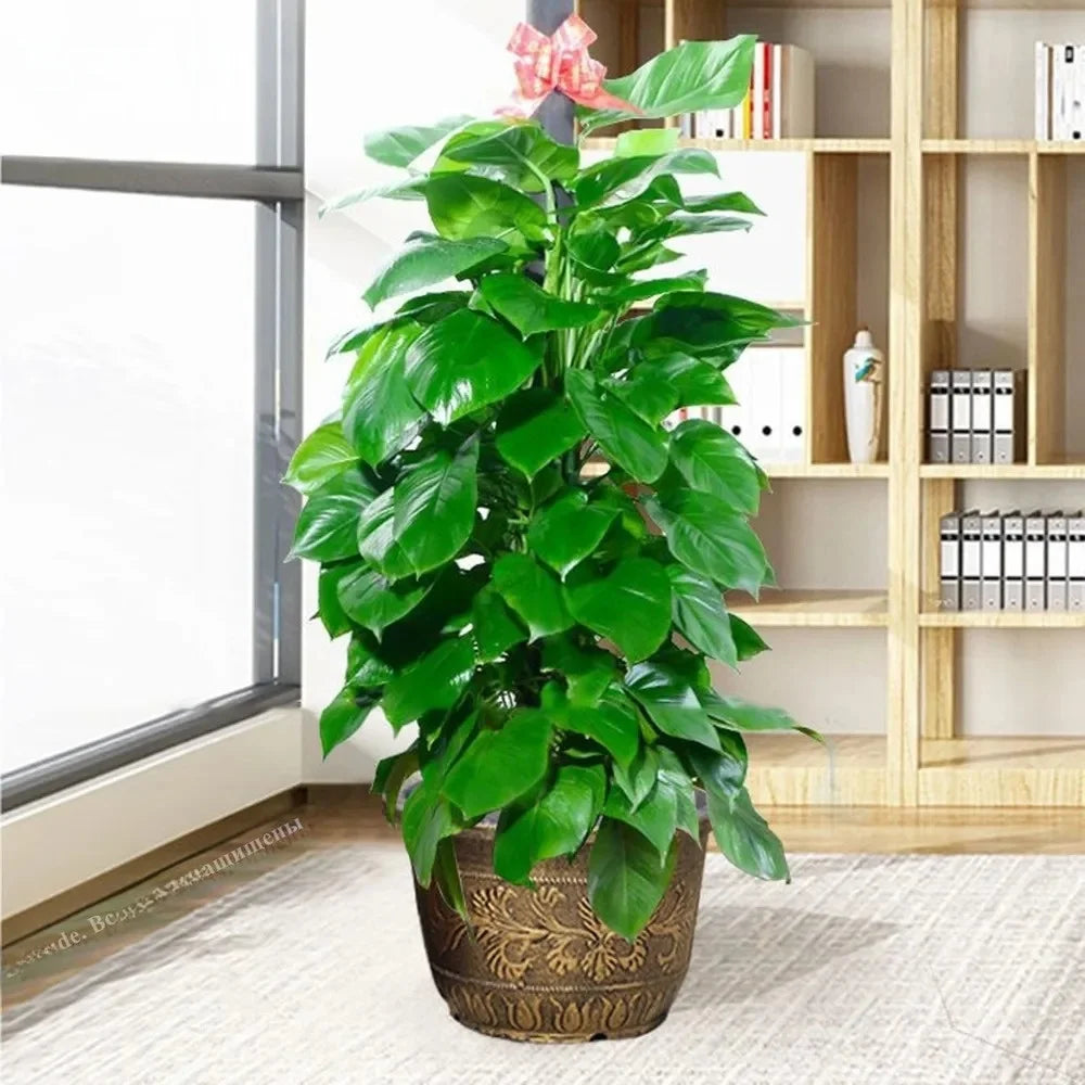 Resin Lotus Planter Pot 7.5L – Copper Bronze Retro Flower Pot