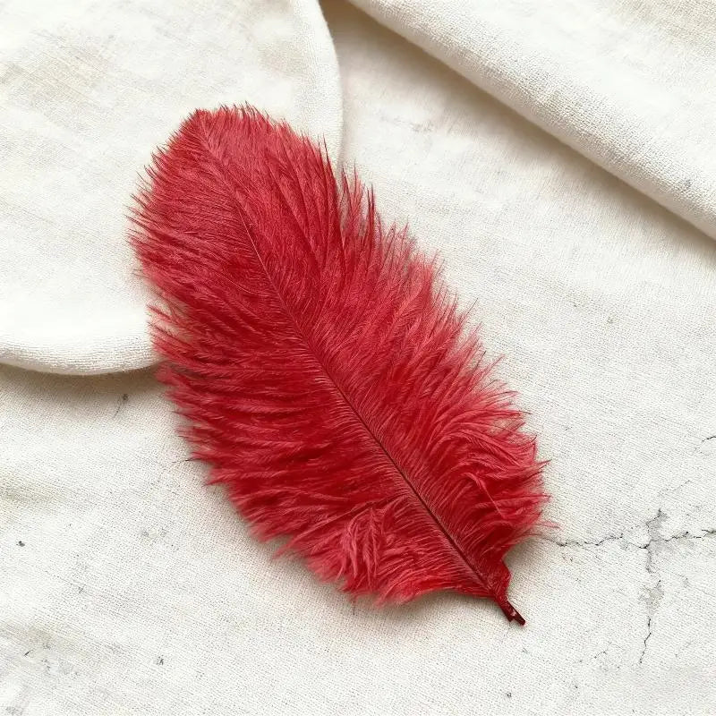 Soft Decorative Ostrich Feather Plume – DIY Boho Home Decor