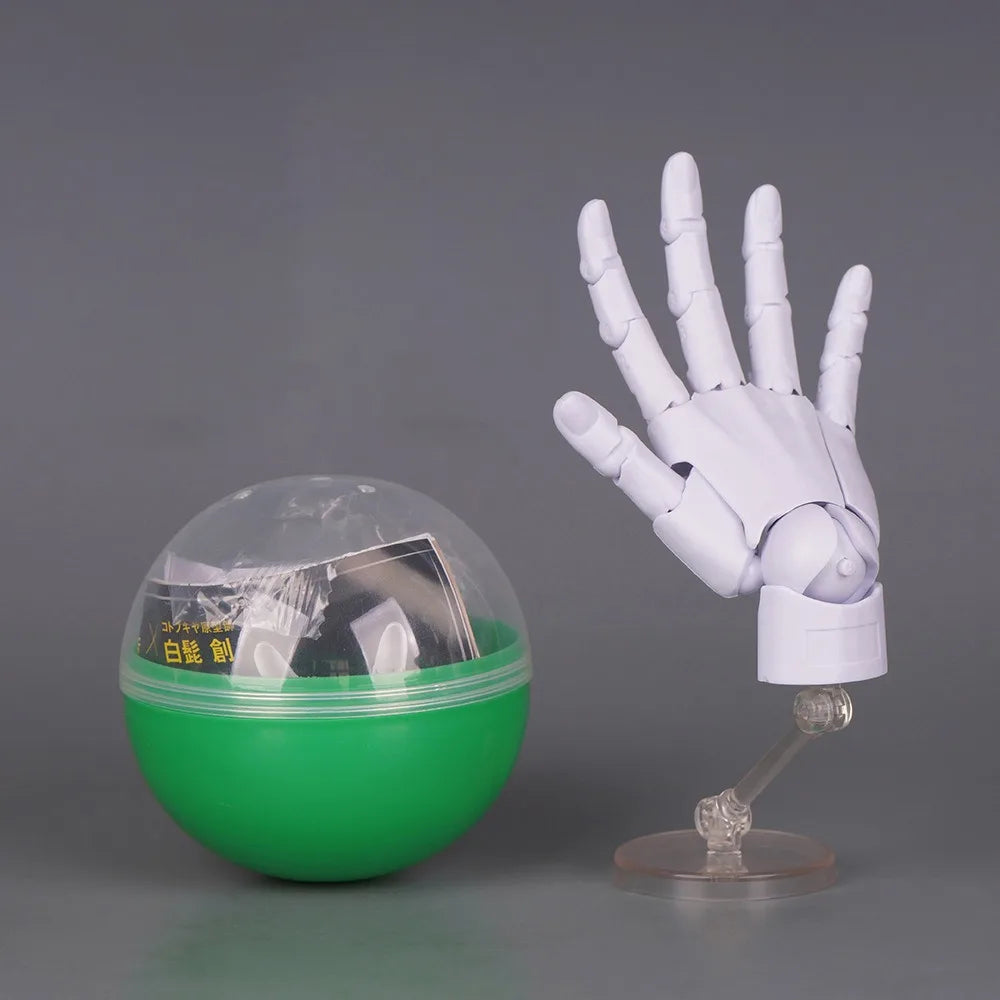 1:2 Scale Articulated Hand Model – Posable Fingers Art Figure