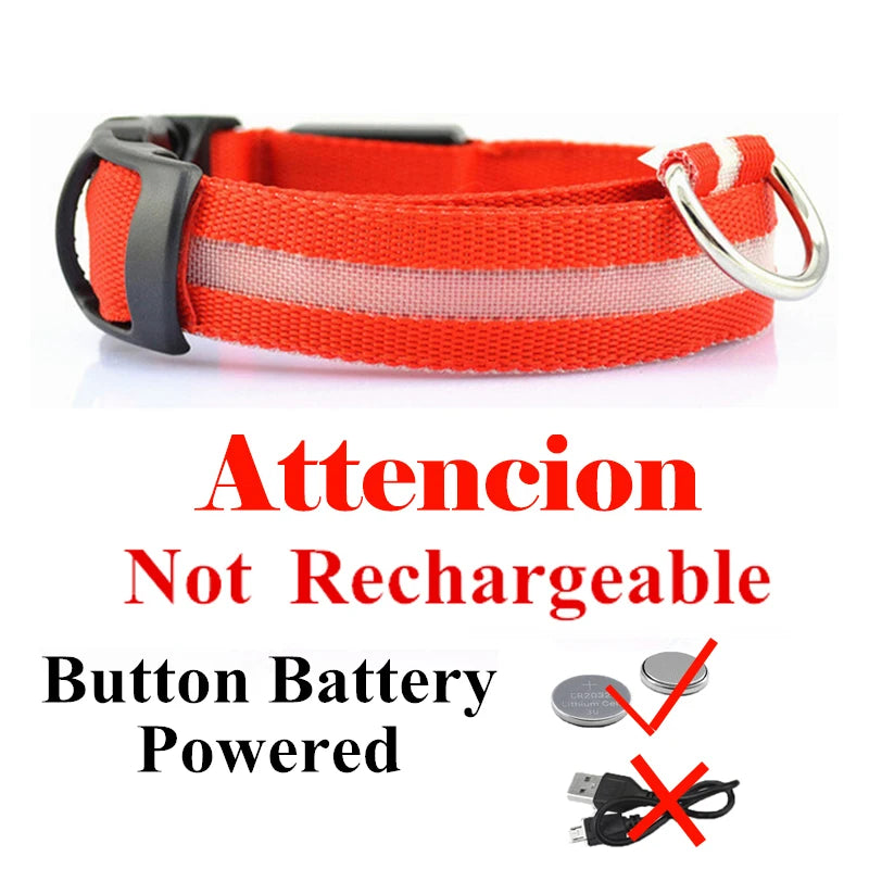 USB Rechargeable LED Dog Collar – Night Safety Glowing Collar