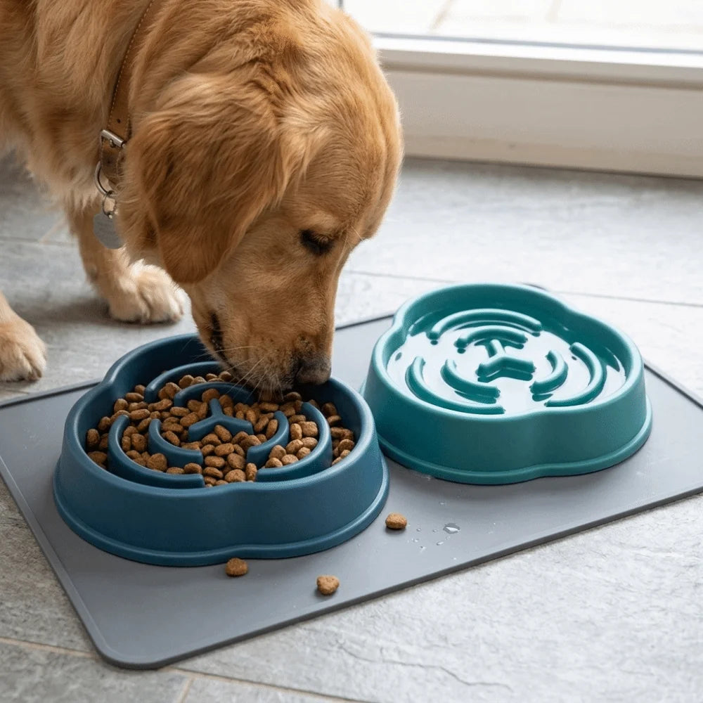Slow Feeder Dog Bowl – Food Grade PP & Non-Slip Silicone Base