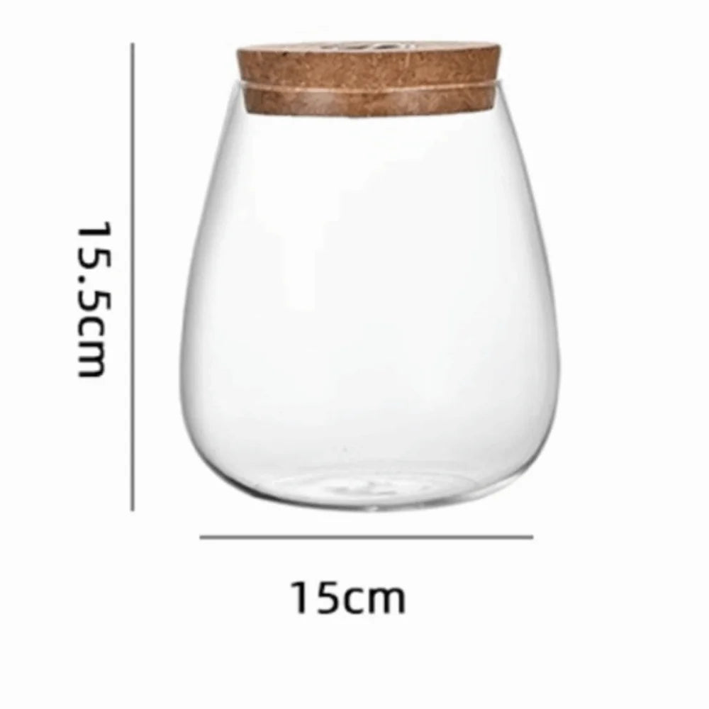 Glass Propagation Vase Rack – Tabletop Water Cultivation Planter
