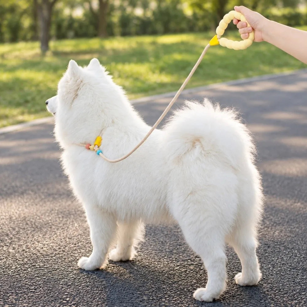 Nylon Slip Lead Dog Leash – Soft Grip Training Rope for Small Dogs