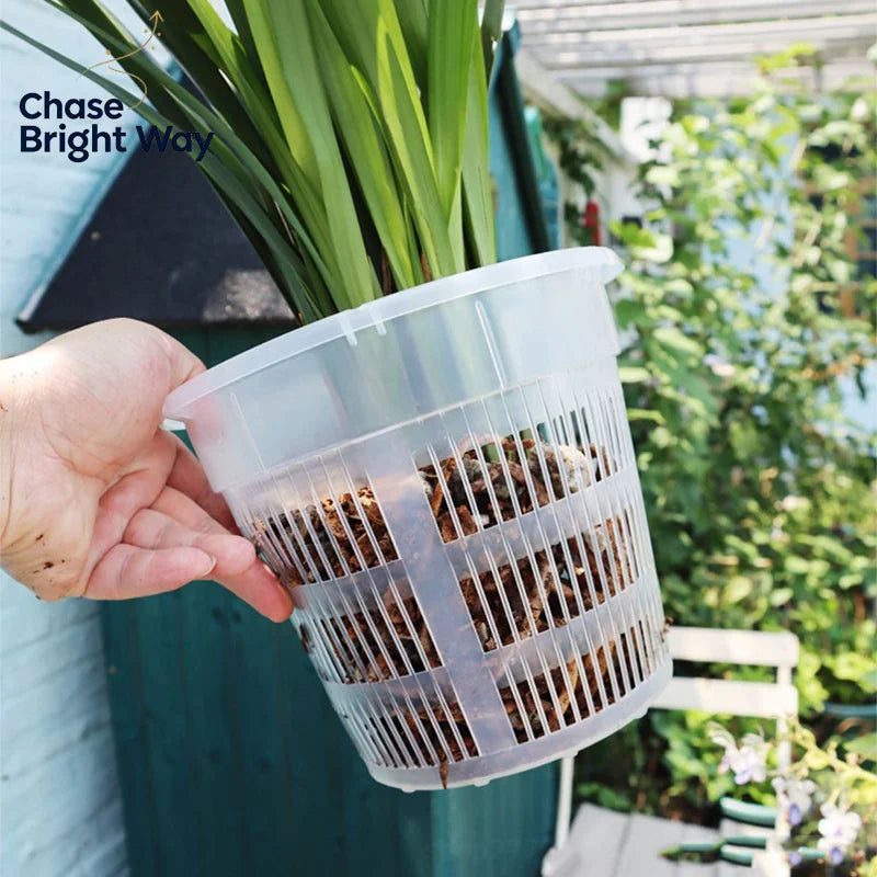 Transparent Mesh Orchid Pot 11cm & 14cm – Air Pruning Planter