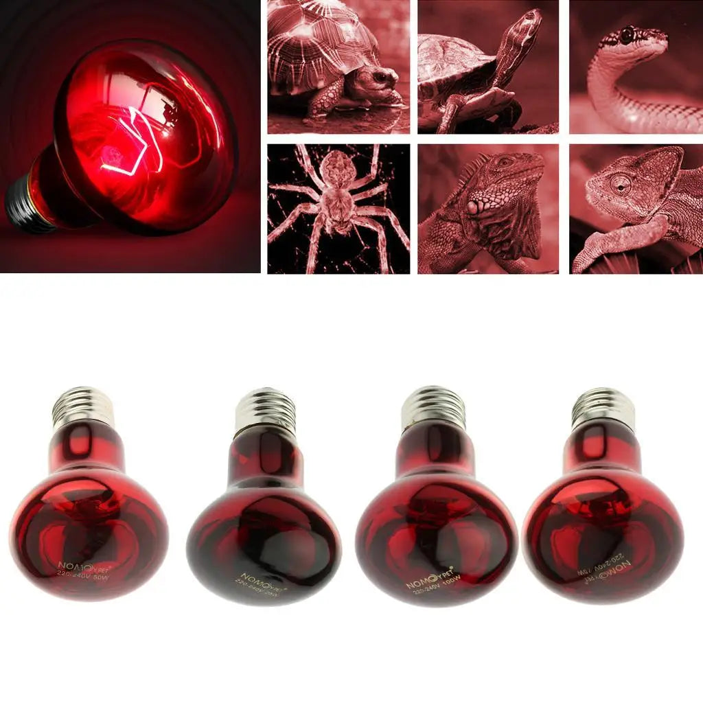 Reptile Infrared Heat Lamp Bulb | Turtle & Terrarium Heater