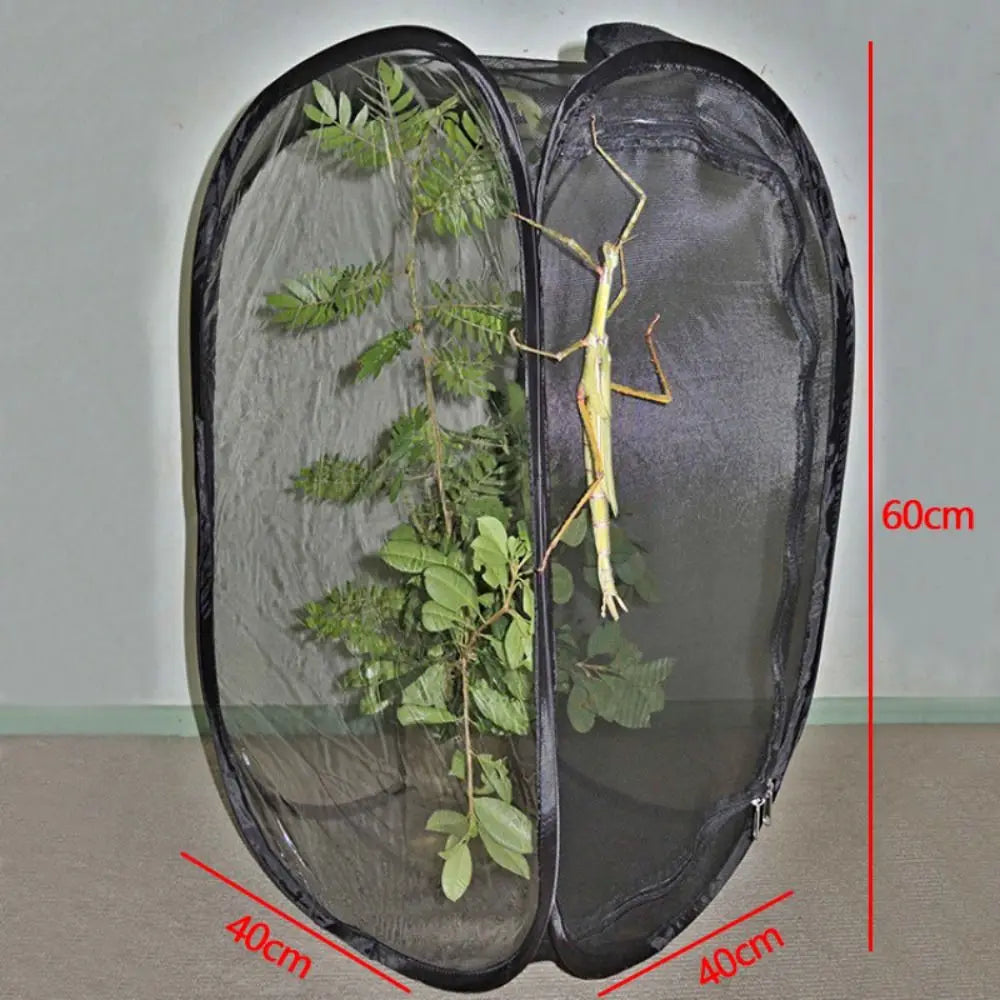 Collapsible Pop-Up Butterfly & Insect Habitat Cage | Black Mesh