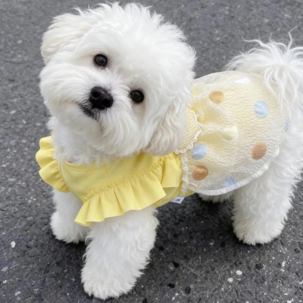 Cute Polka Dot Princess Dress for Small Dogs & Cats | Pet Skirt