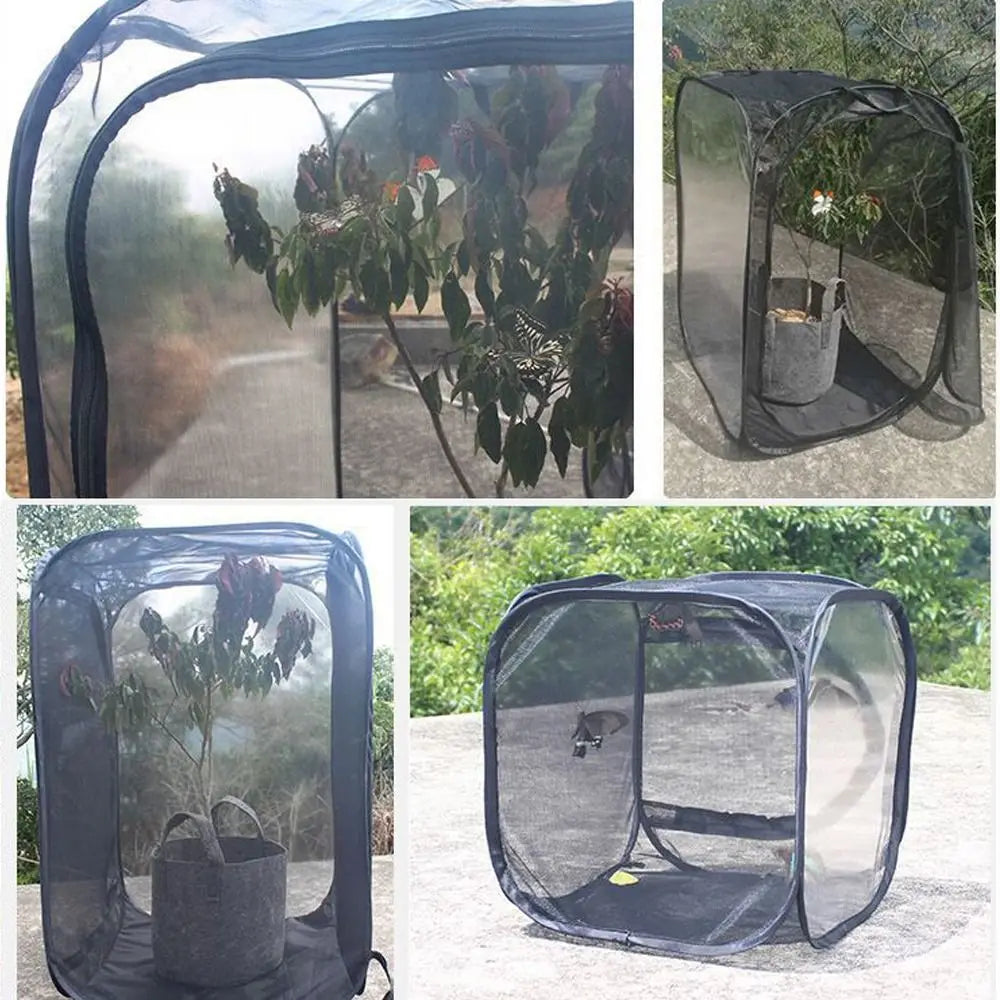 Collapsible Pop-Up Butterfly & Insect Habitat Cage | Black Mesh