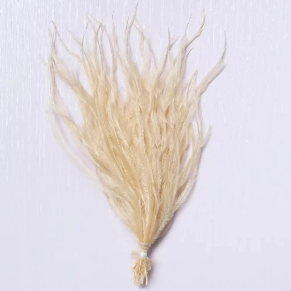 100-Pack Turkey Feathers 10–15cm | DIY Craft & Costume Trim