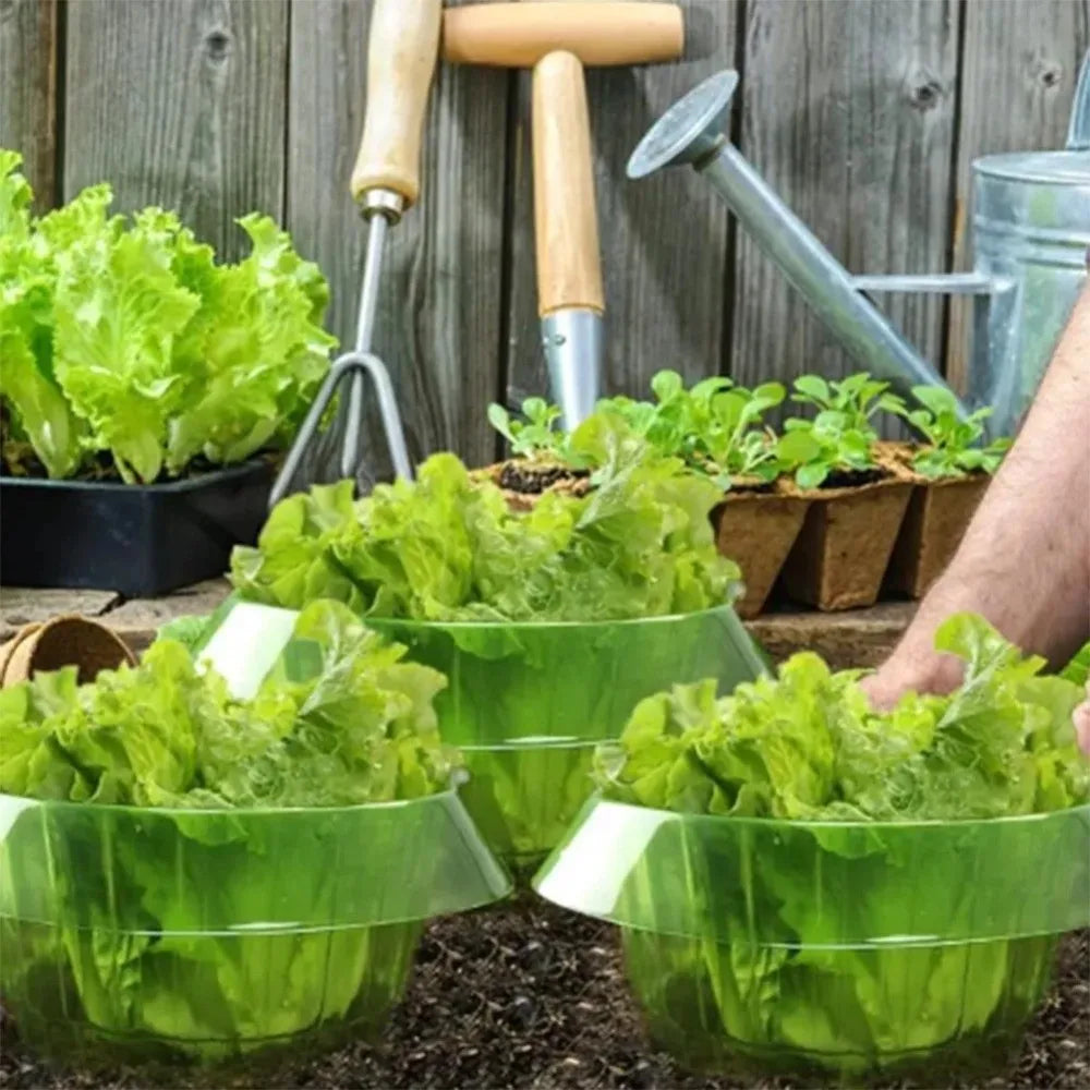 5-Pack Reusable Snail & Slug Barrier Collars for Plants