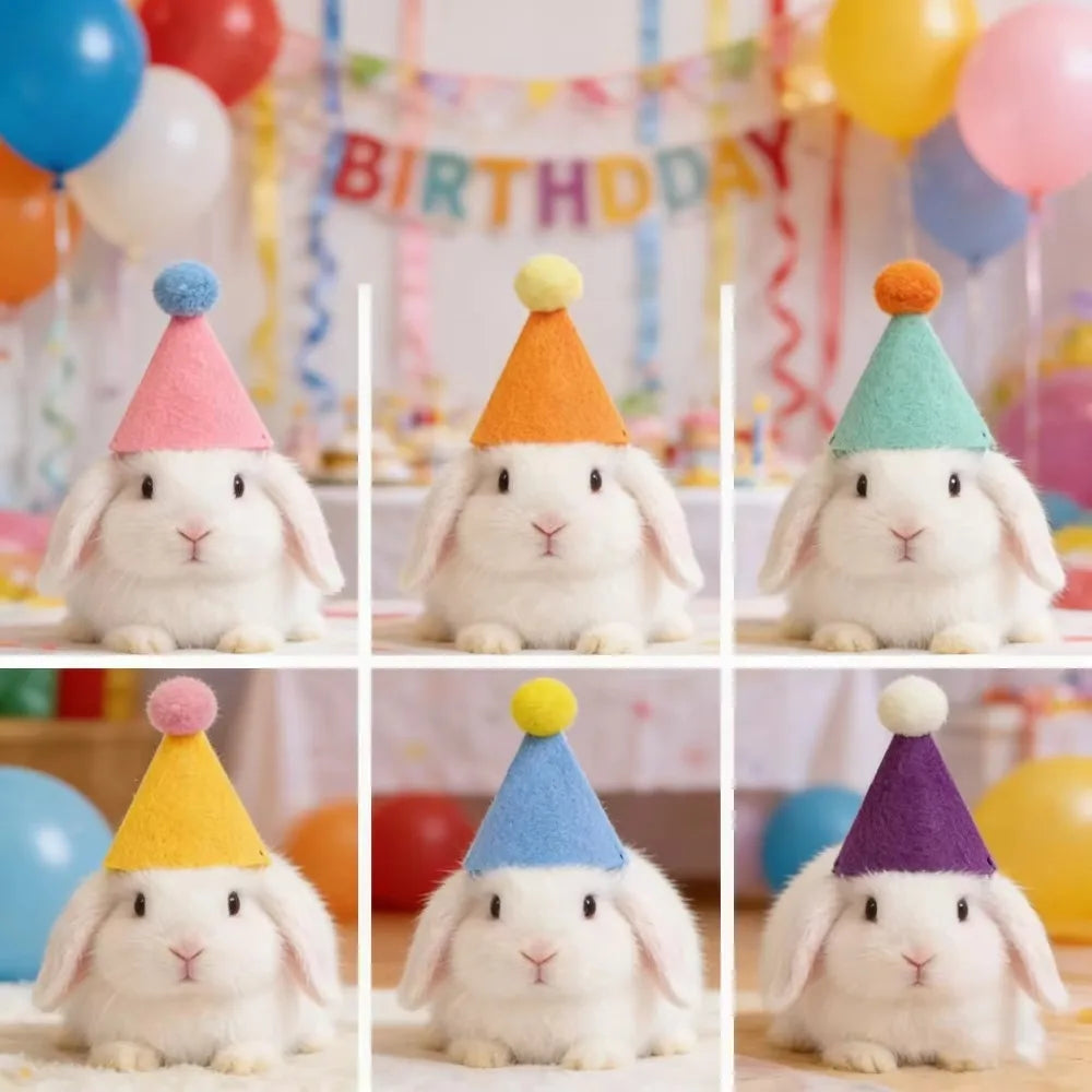 Mini Pet Party Hats – Colorful Cone Hats for Cats & Dogs 6/12pk