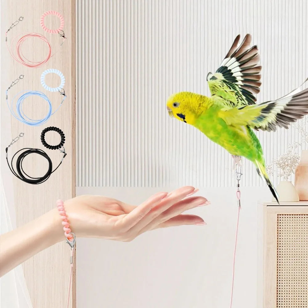 Elastic Parrot Training Leash – Metal Buckle Bird Foot Chain