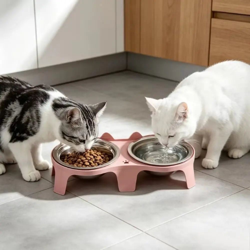 Raised Double Cat Bowl Set – Stainless Steel & Plastic Stand