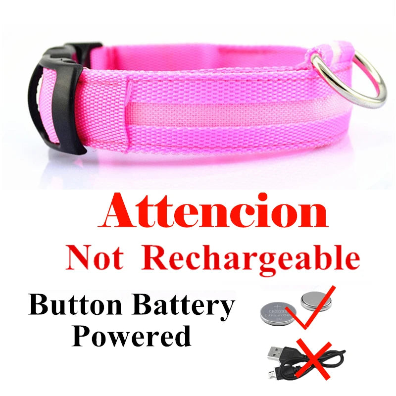 USB Rechargeable LED Dog Collar – Night Safety Glowing Collar