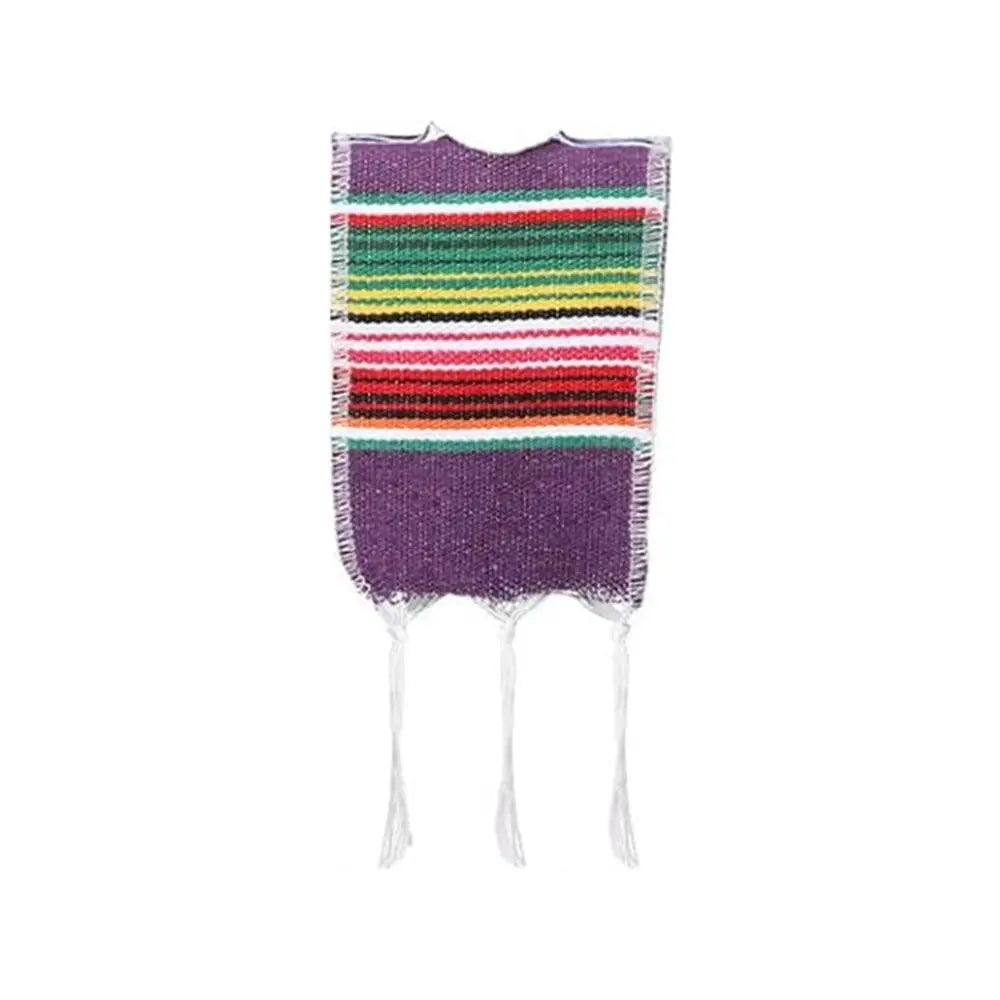 Mini Sombrero Hats & Beer Poncho Covers | Fiesta Party Decor