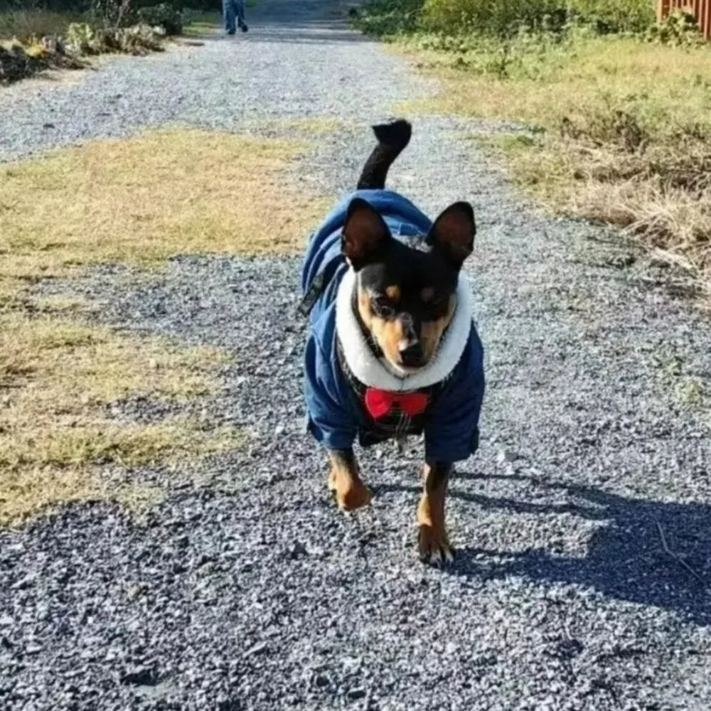 Windproof Dog Vest Coat – Warm Winter Cowboy Pet Bodysuit
