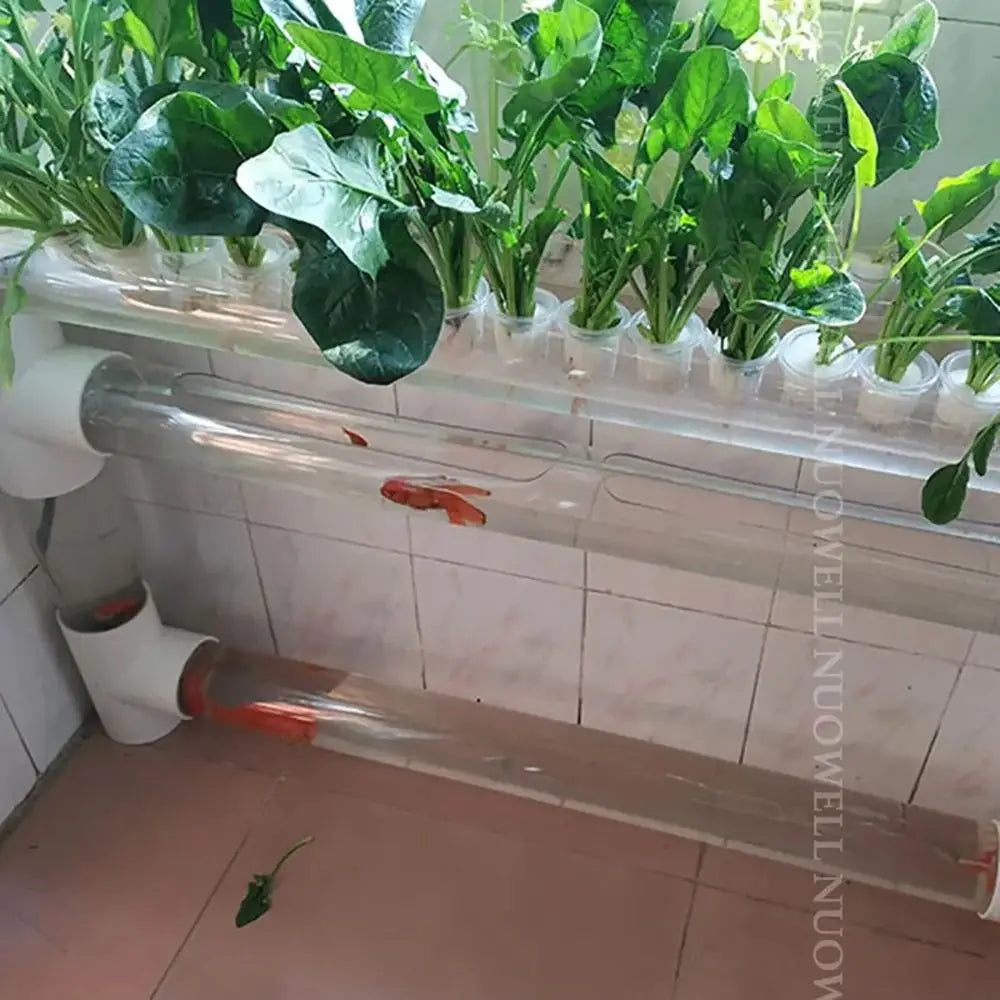 Clear Acrylic Tube – Fish Tank, Hydroponics & DIY Pipe