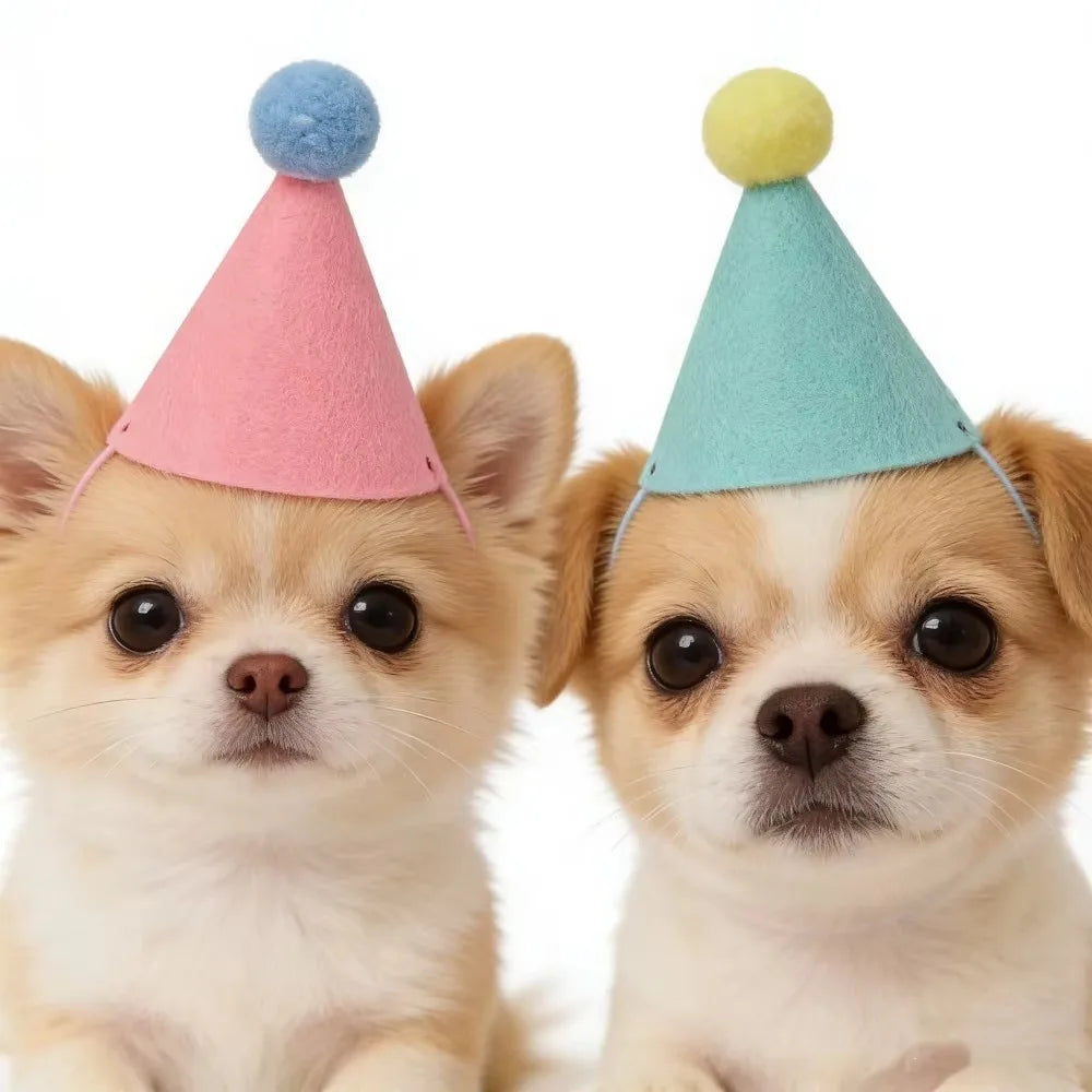Mini Pet Party Hats – Colorful Cone Hats for Cats & Dogs 6/12pk