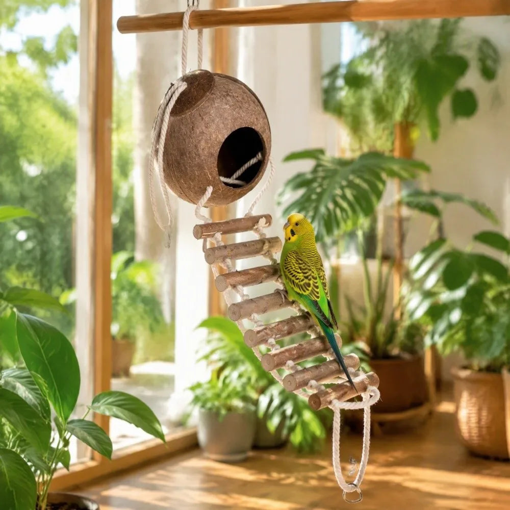 Coconut Shell Hanging Bird Hut with Rope Ladder | Parrot House