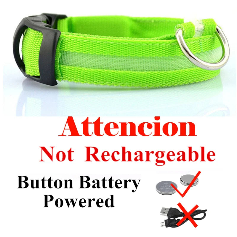 USB Rechargeable LED Dog Collar – Night Safety Glowing Collar