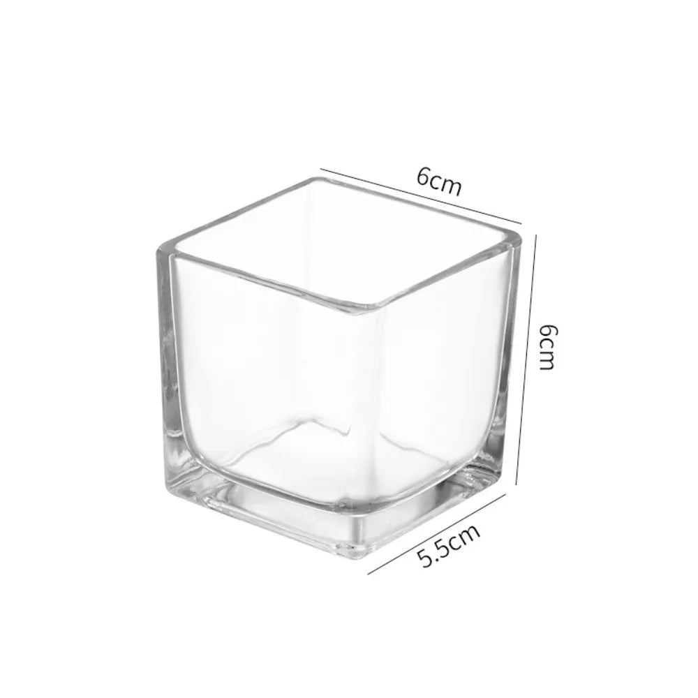 Transparent Square Glass Vase – Geometric Hydroponic Planter