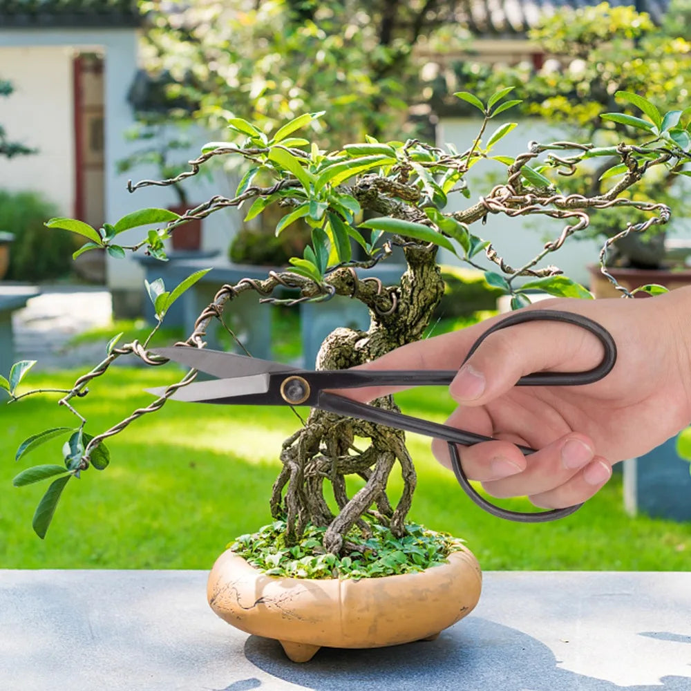Steel Bonsai Pruning Scissors – Sharp Precision Garden Shears