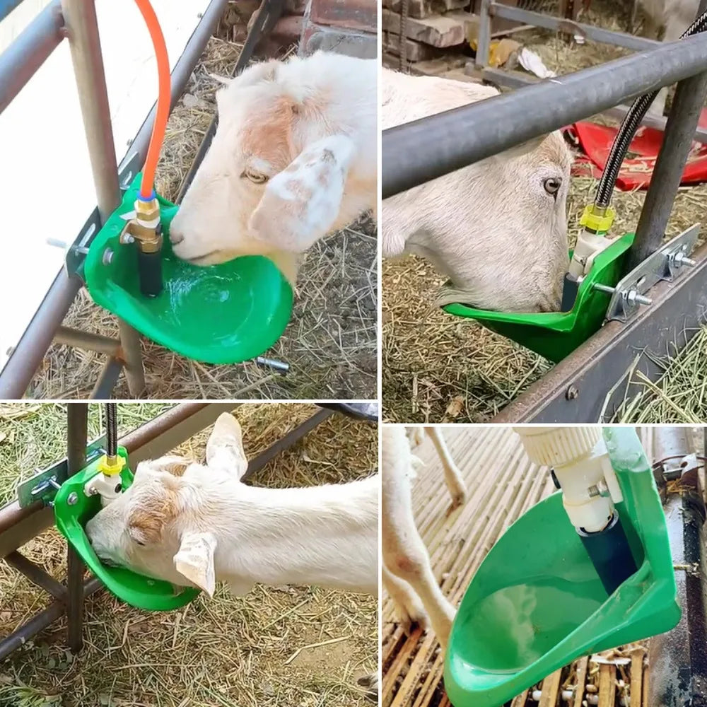 Automatic Sheep Water Bowl Float Valve Trough – Green Plastic