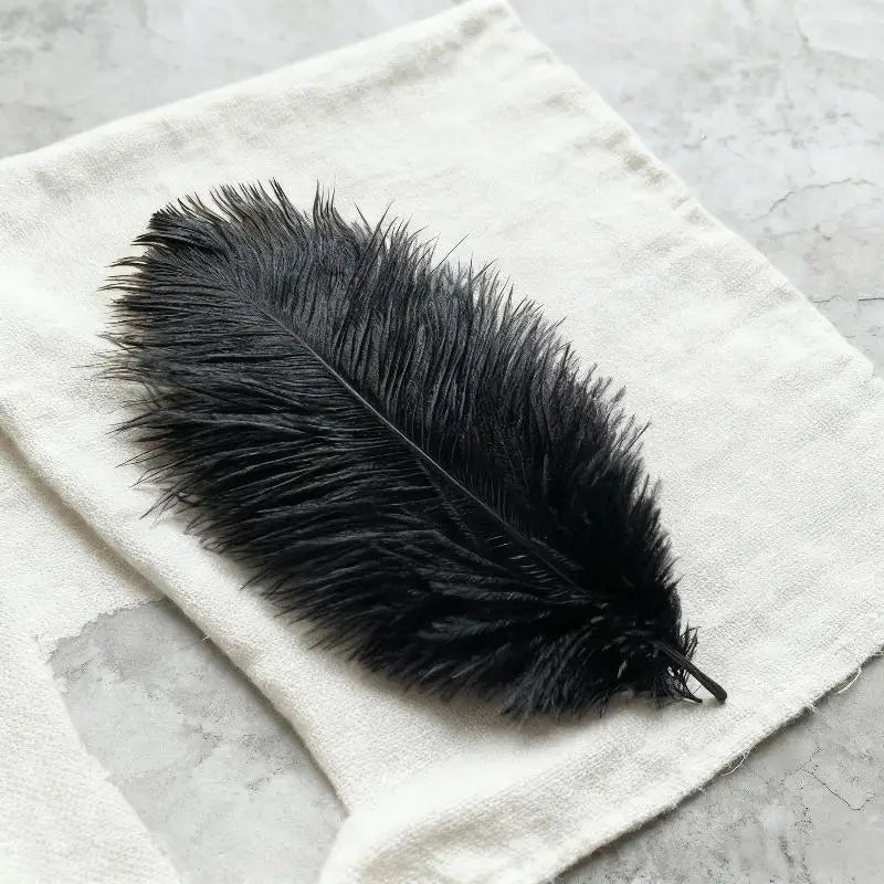 Soft Decorative Ostrich Feather Plume – DIY Boho Home Decor