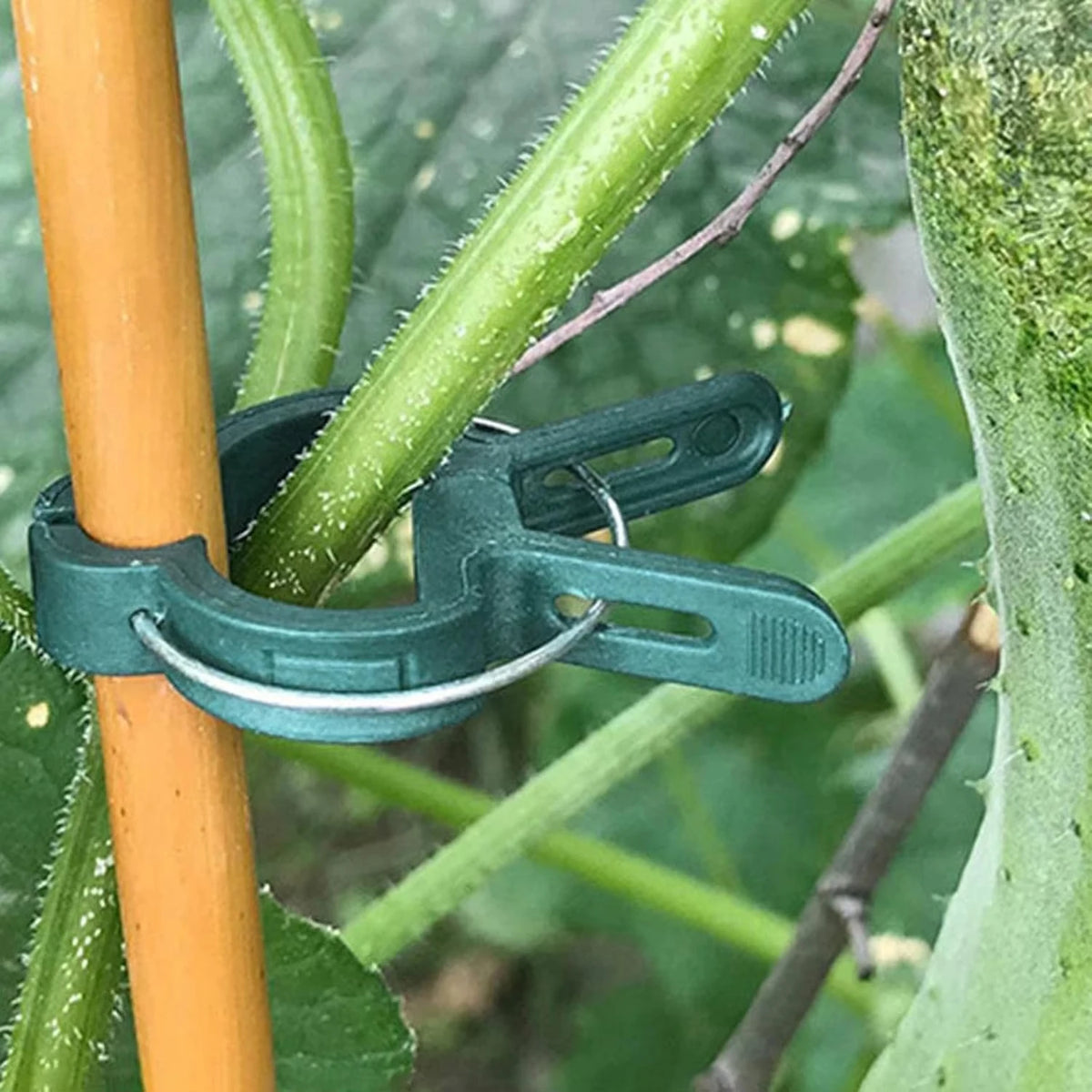 Reusable Plant Support Clips for Vines, Flowers & Seedlings