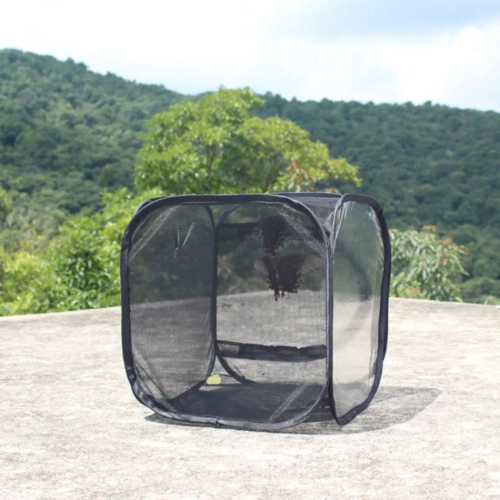 Collapsible Pop-Up Butterfly & Insect Habitat Cage | Black Mesh