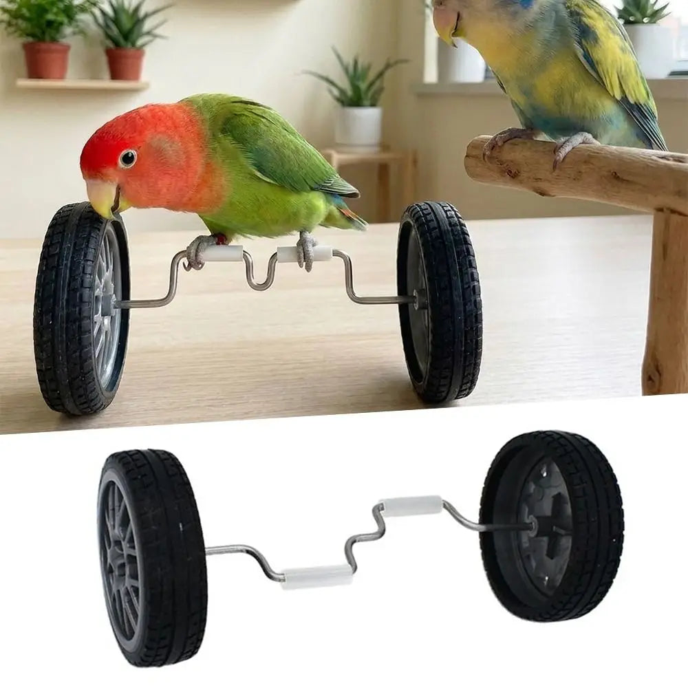 Parrot Balance Bike Toy – Training Bike for Small & Medium Birds