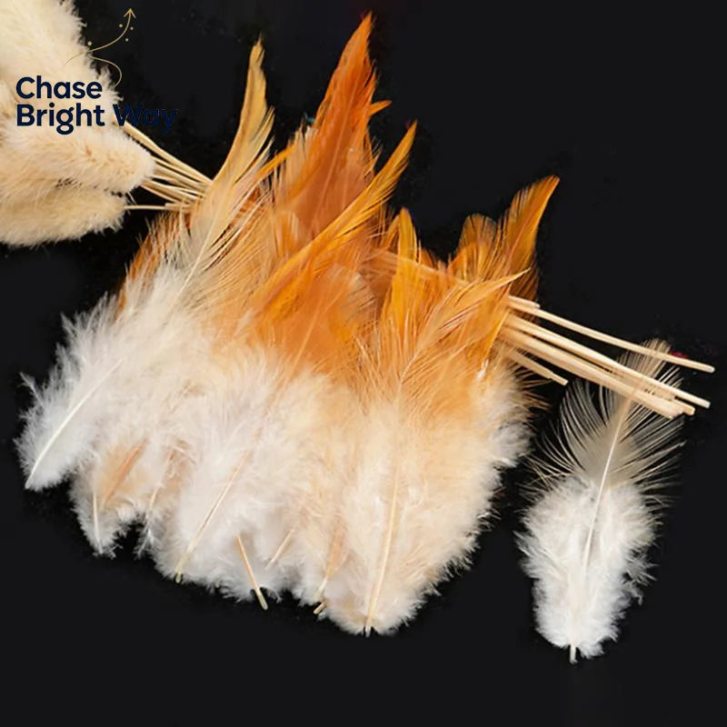 50-Pack Natural Chicken Feathers 7–15cm – DIY Crafts & Décor