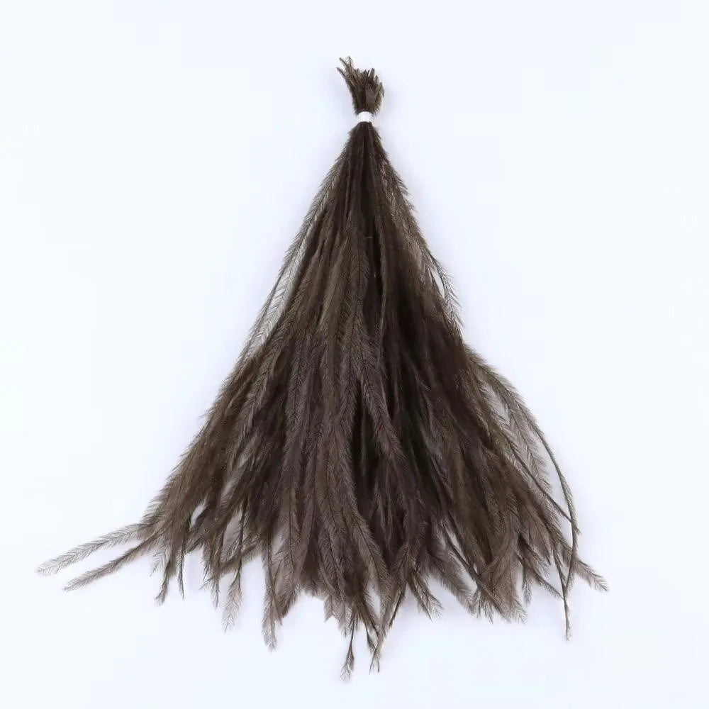 100-Pack Turkey Feathers 10–15cm | DIY Craft & Costume Trim