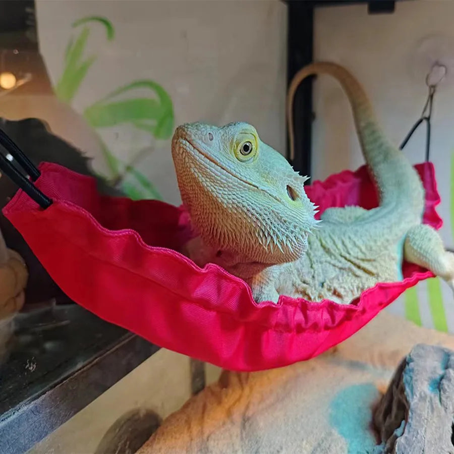 Reptile Hammock Swing Bed – Lizard Gecko Terrarium Decor