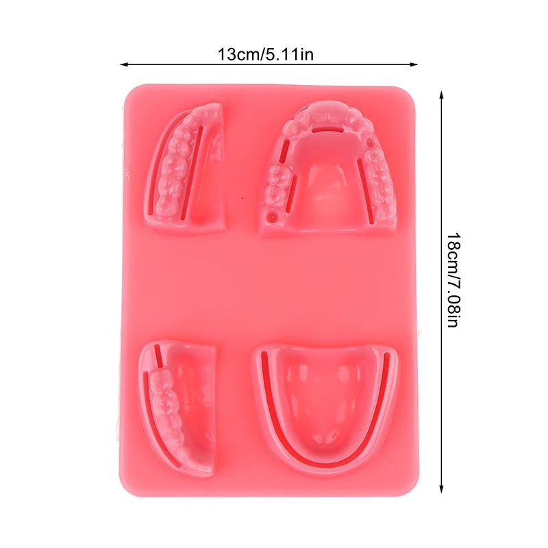 Venipuncture & Suture Practice Pad – Silicone Training Model