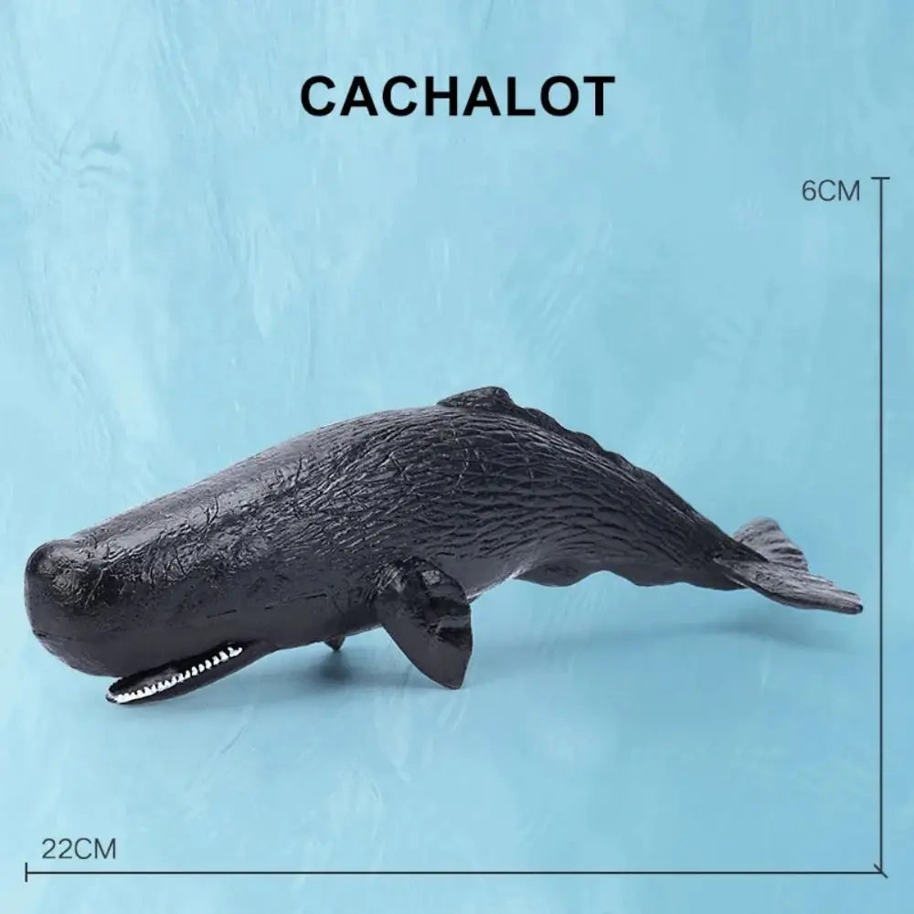 PVC Marine Animal Figurines – Realistic Ocean Sea Life Models