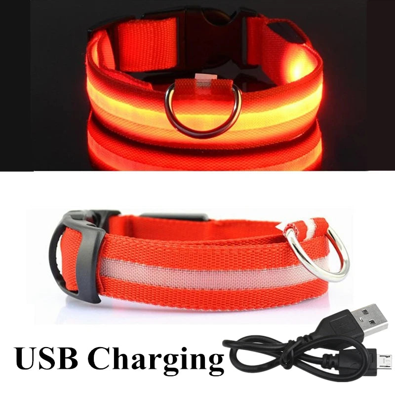 USB Rechargeable LED Dog Collar – Night Safety Glowing Collar