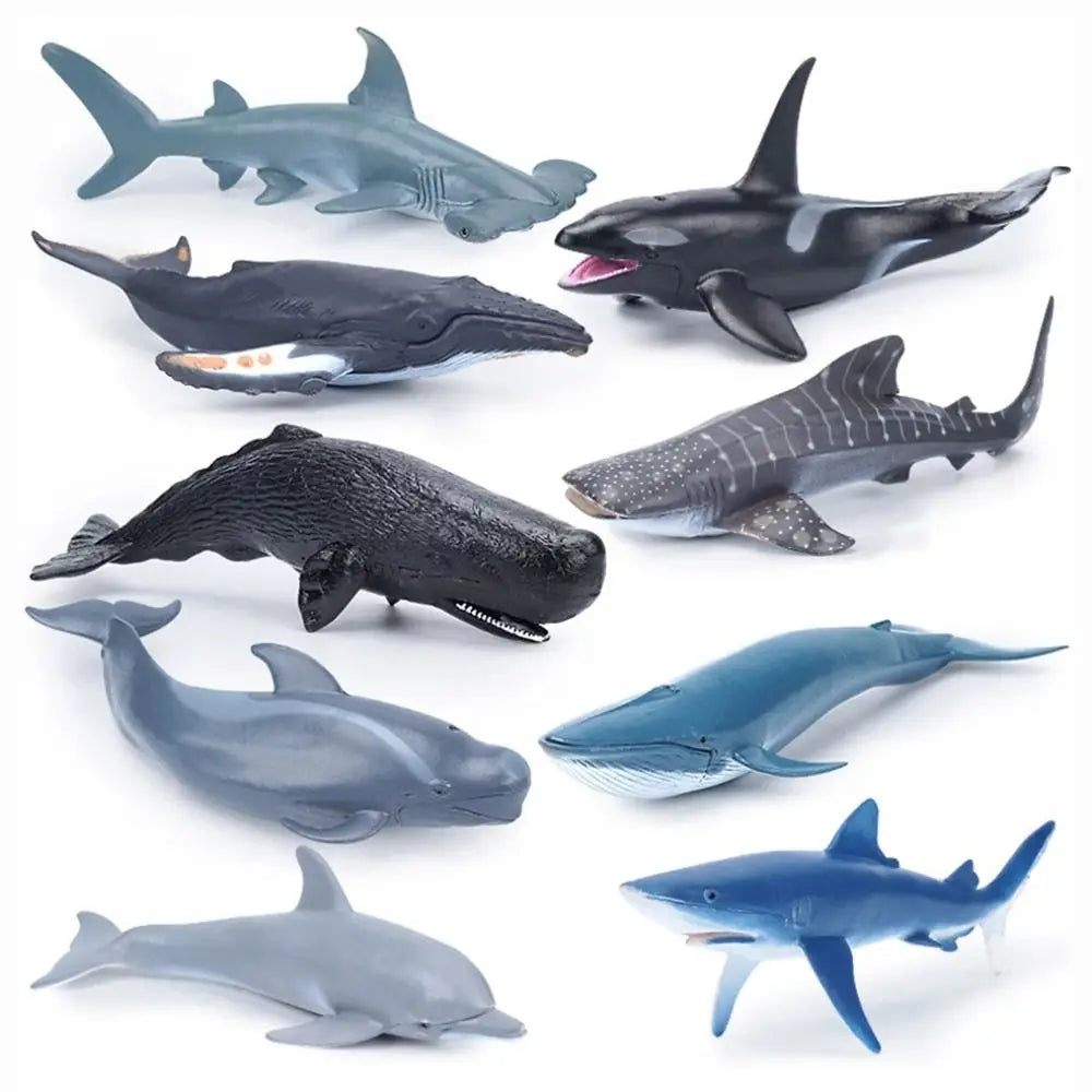PVC Marine Animal Figurines – Realistic Ocean Sea Life Models