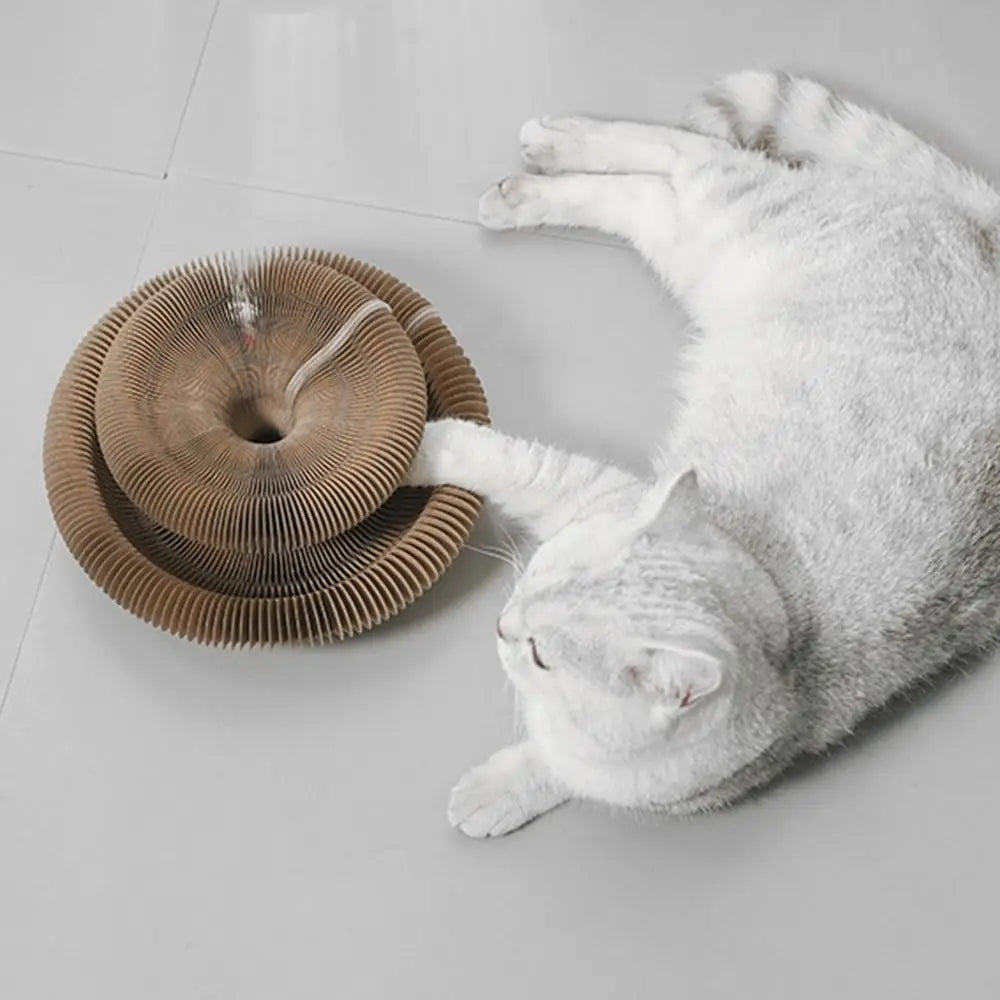 Kitty Kurlz Accordion Cat Toy – Scratch Pad & Bell Balls