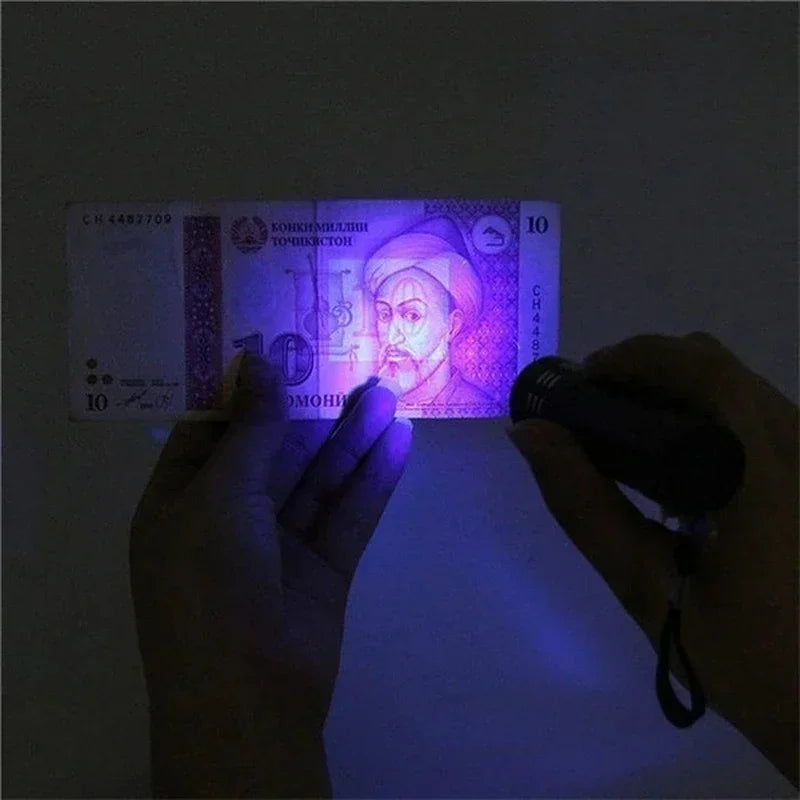 UV Black Light Flashlight 365/395nm Zoomable Ultraviolet Torch