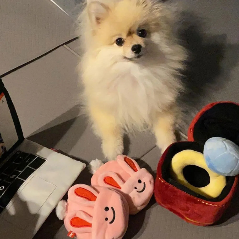 Ring Box Squeaky Plush Toy for Cats & Dogs | Soft Pet Toy