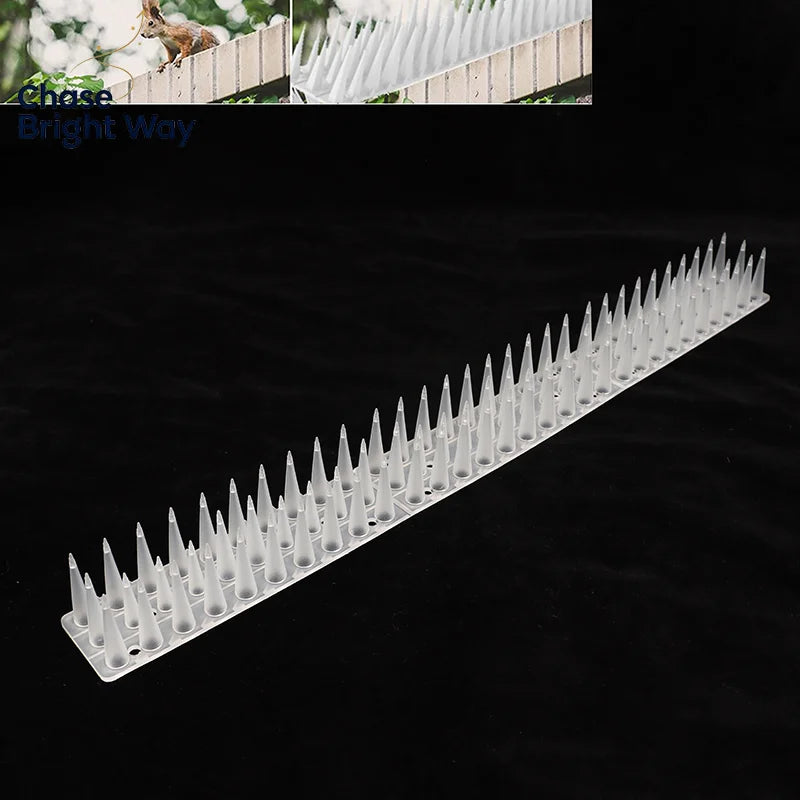 Transparent Bird & Cat Deterrent Spikes – 2-Pack Garden Fence